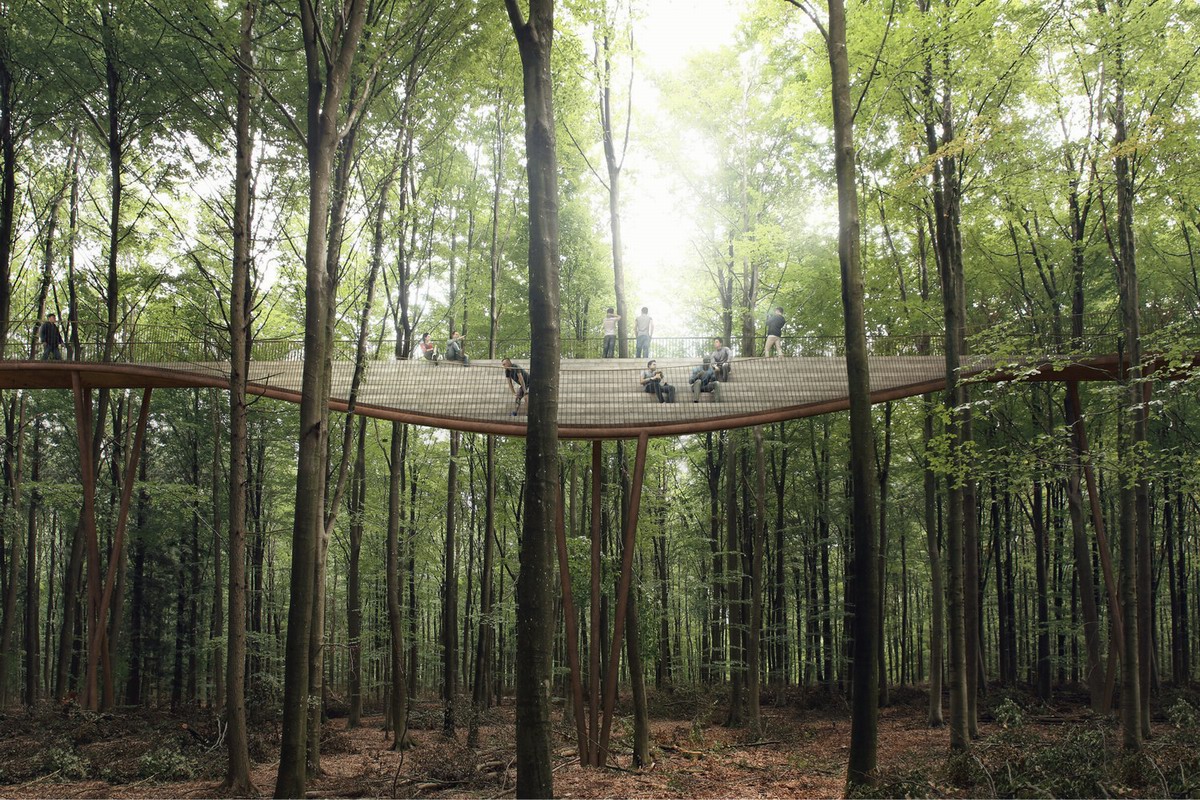 camp adventure treetop experience